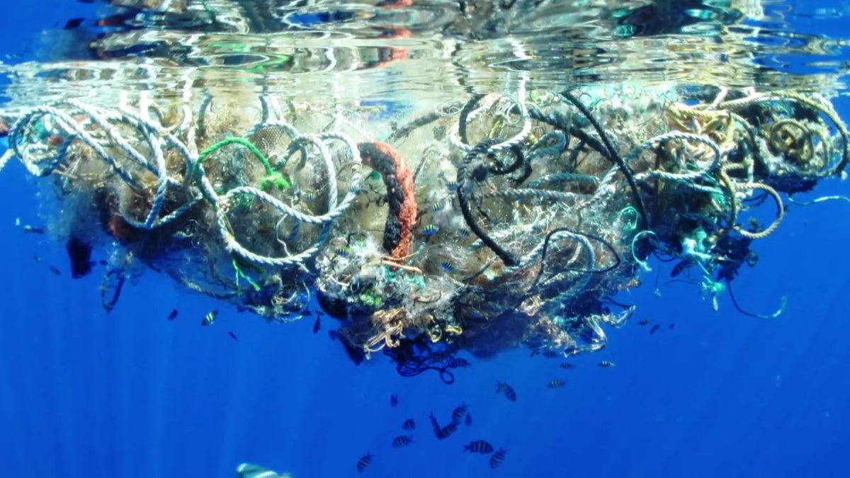 10 things we can do to reduce plastic pollution